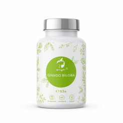 Naturvit® Ginkgo Biloba 