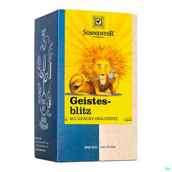 Sonnentor Geistesblitz Tee bio Beutel 