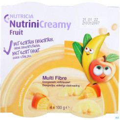 Nutrini Creamy Fruit Sommerfrüchte 