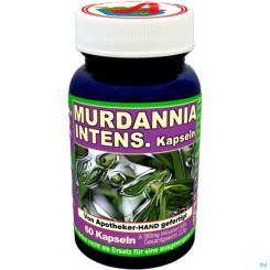 MURDANNIA INT.KPS 60ST 