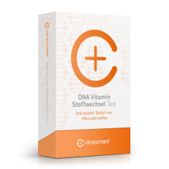 DNA Vitamin Stoffwechsel Test 