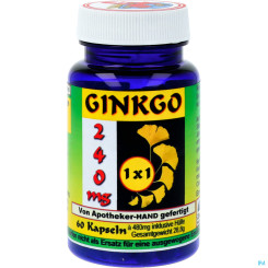 GINKGO 240MG EXTR.KPS 1X1 60ST 