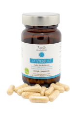 GeistesBlitz - Spermidin 