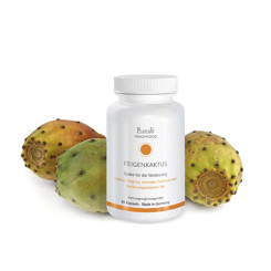 Feigenkaktus Kapseln 60STK 