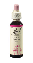 Bach®-Blüte Nr. 22 Oak (Eiche) 