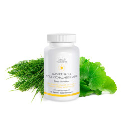 Wassernabel Ackerschachtelhalm Kapseln 