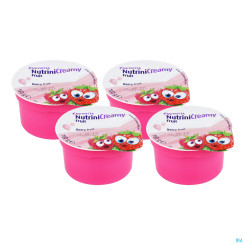 Nutrini Creamy Fruit Beerenfrüchte 