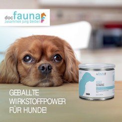 HerzStärke DOG 