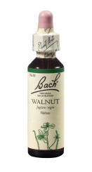 Bach<sup>®</sup>-Blüte WALNUT﻿ Nr. 33 Walnuss 