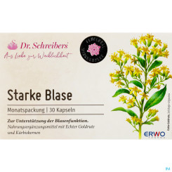Dr. Schreibers Starke Blase 