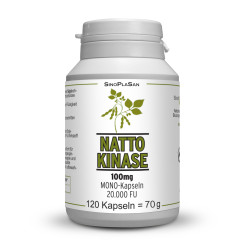 Nattokinase MONO 120 Kapseln 