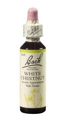 Bach<sup>®</sup>-Blüte WHITE CHESTNUT Nr. 35 Weiße Kastanie 