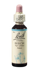 Bach®-Blüte Nr. 3 Beech (Rotbuche) 