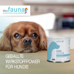 Good Aging 24 DOG 300g 