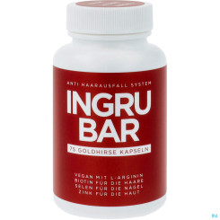 INGRUBAR GOLDHIRSE KPS 75ST 