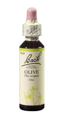 Bach<sup>®</sup>-Blüte OLIVE Nr. 23 Olive 