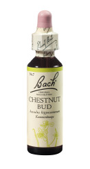 Bach®-Blüte Nr. 7 Chestnut Bud (Kastanienknospe) 