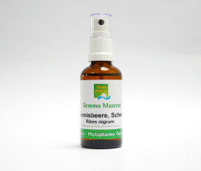 Phytopharma Gemmo Mazerat Johannisbeere Sprühkopf 