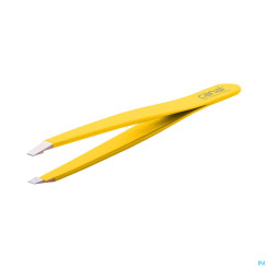 CANAL PINZ.RF GER.2017-02 1ST 