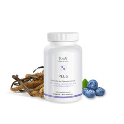 Plus Kapseln für Diabetiker 