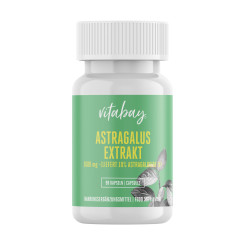 Vitabay Astragalus Extrakt 1600 mg Kapseln 