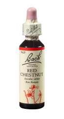 Bach<sup>®</sup>-Blüte RED CHESTNUT Nr. 25 Rote Kastanie 