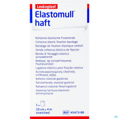 Elastomull Haft 4mx10cm 