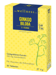 GINKGO BILOBA + B-VITAMINE 