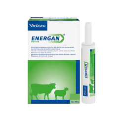 Energan Ketose für Milchkühe und Mutterschafe 