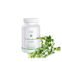 PlantaBrain Kapseln 