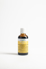 Propolis Plus Tropfen Ökopan 50ml 