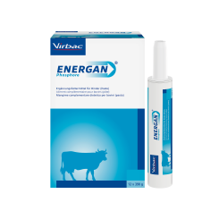 ENERGAN PHOSPHOR - Für Rinder 