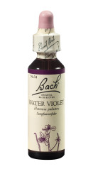 Bach®-Blüte Nr. 34 Water Violet (Sumpfwasserfeder) 