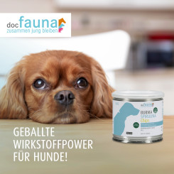 Burma Spirulina Chips DOG 90g 