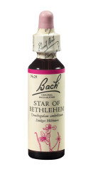 Bach<sup>®</sup>-Blüte STAR OF BETHLEHEM Nr. 29 Doldiger Milchstern 