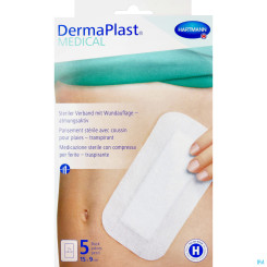 Dermaplast Wundpfl 15x9 Atm 