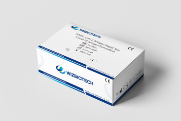 SARS-CoV-2 Antigen Rapid Test 