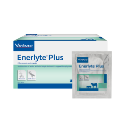 Enerlyte Plus für Kälber und Absatzferkel 