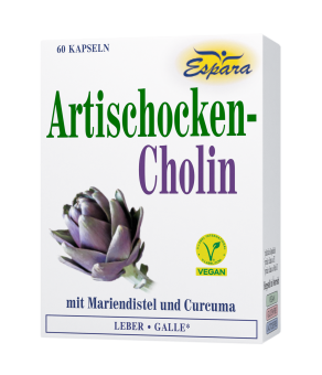 Artischocken-Cholin Kapseln 