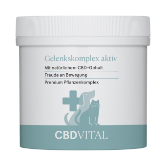 CBD VITAL Gelenkskomplex aktiv 