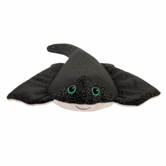Manta-Rochen 