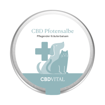CBD VITAL CBD Pfotensalbe 
