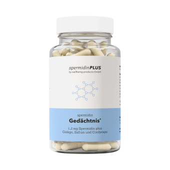 Spermidin Gedächtnis 