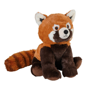 Roter Panda 