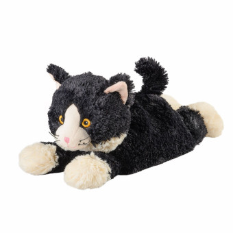 Katze liegend 