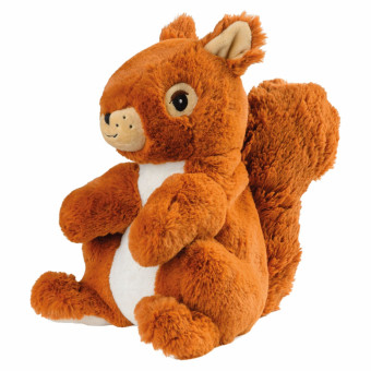 Eichhörnchen 