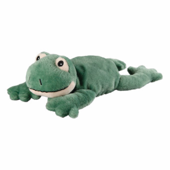 Minis Frosch 
