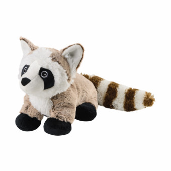 Waschbär 