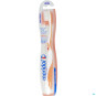 morepic-1