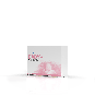 morepic-1